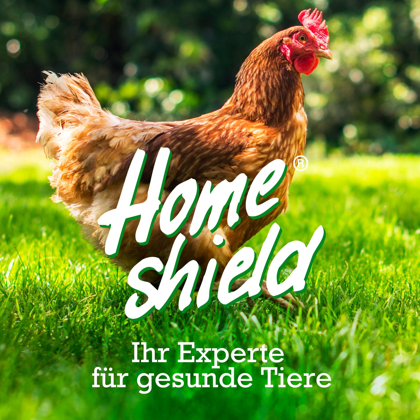 Home Shield® white powder 5kg Tüte