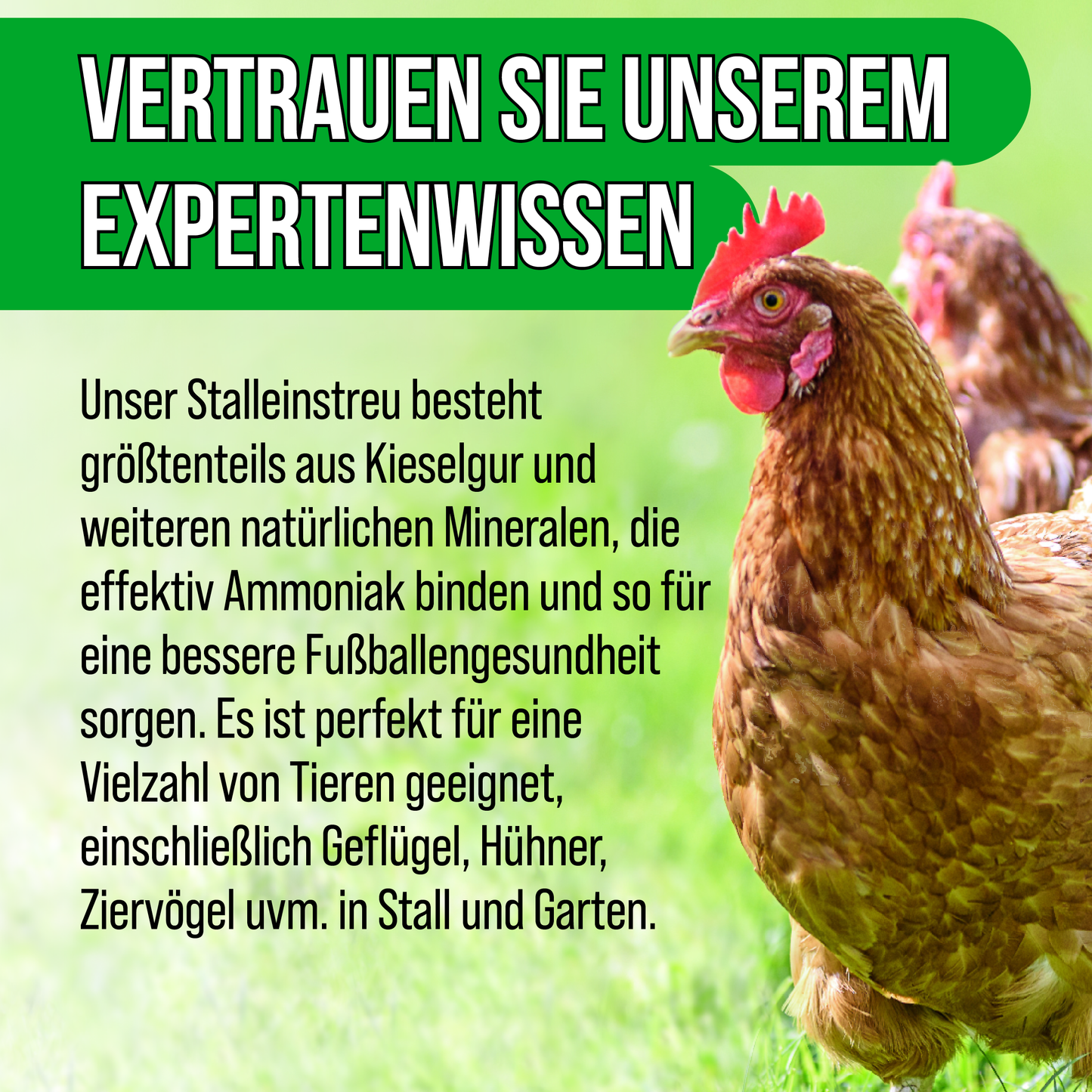 Home Shield® Kieselgur Stalleinstreu 2Kg im Eimer