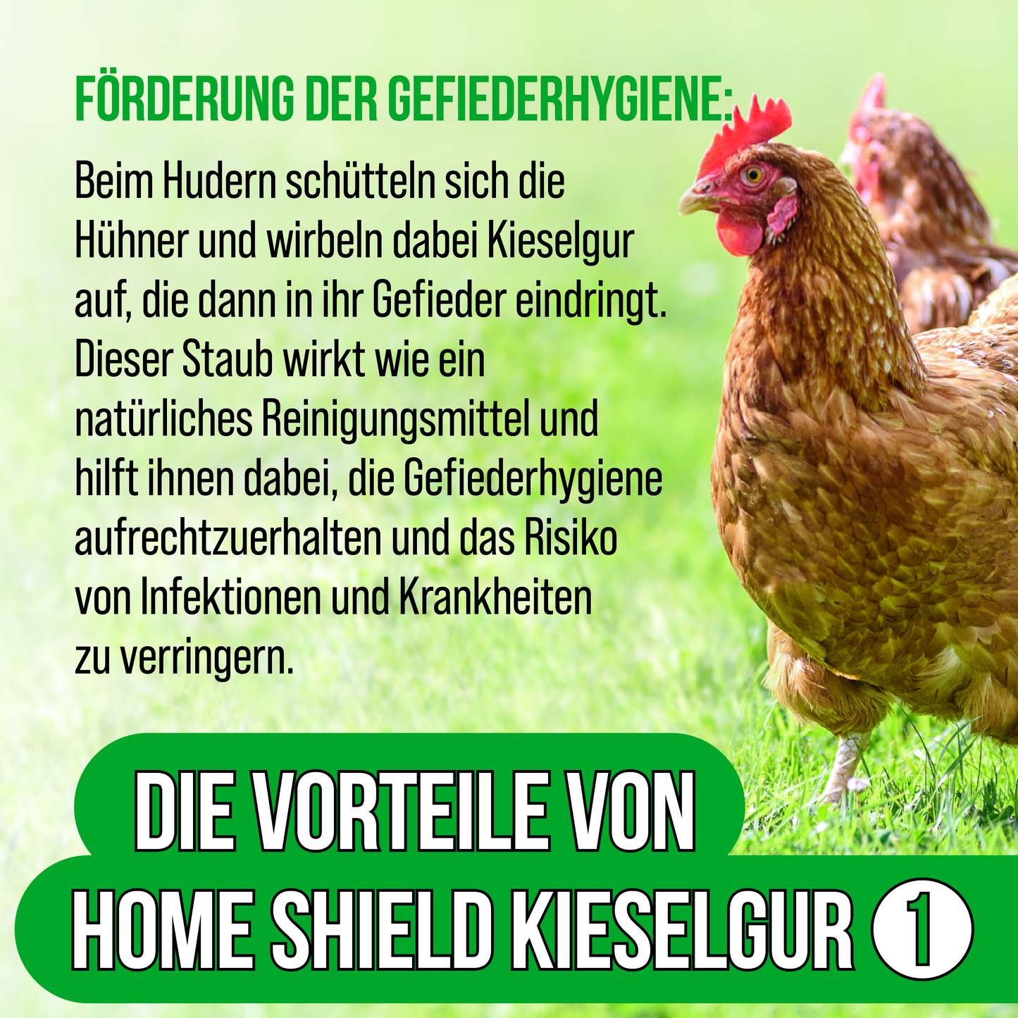 Home Shield® Kieselgur Stalleinstreu 2Kg im Eimer