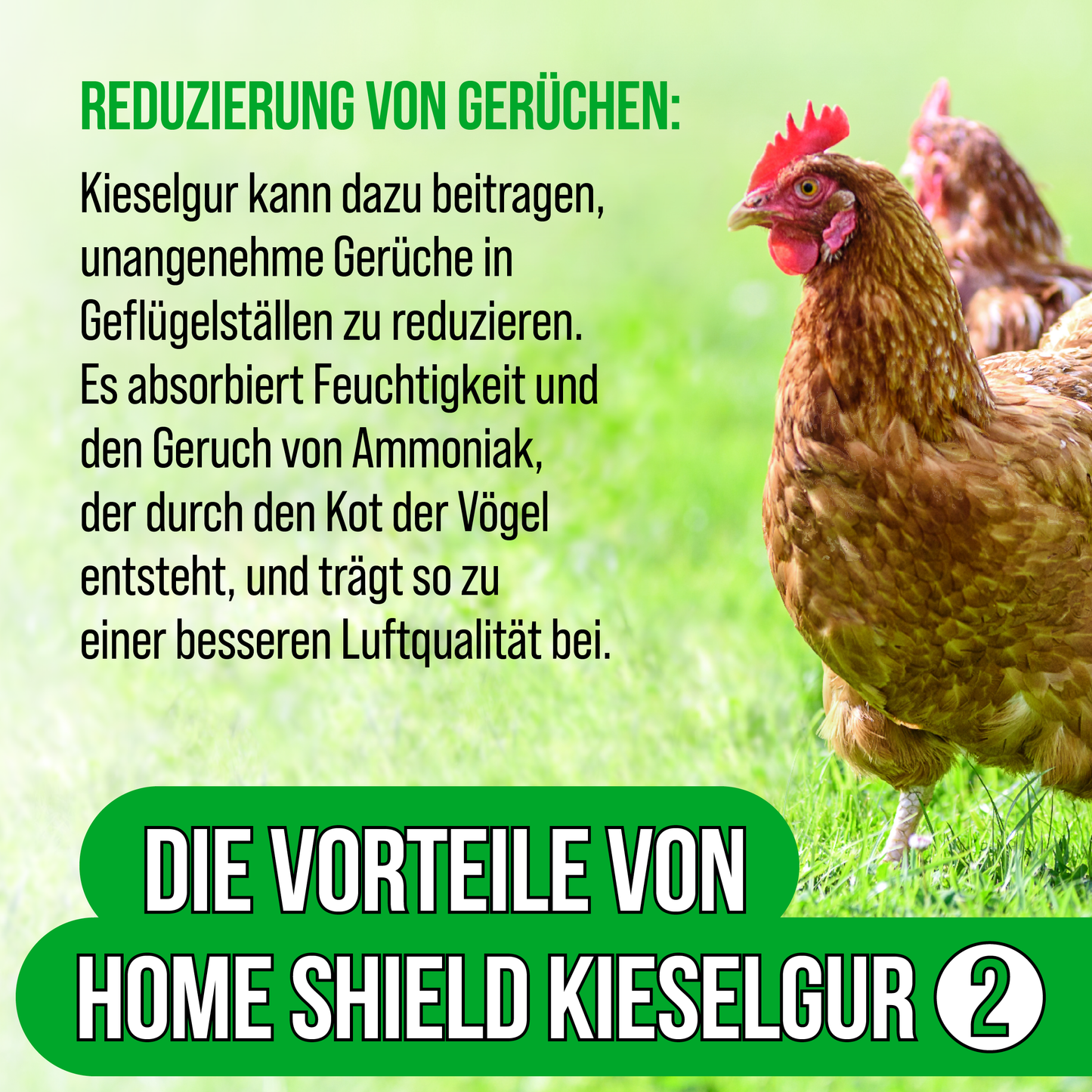 Home Shield® Kieselgur Stalleinstreu 2Kg im Eimer