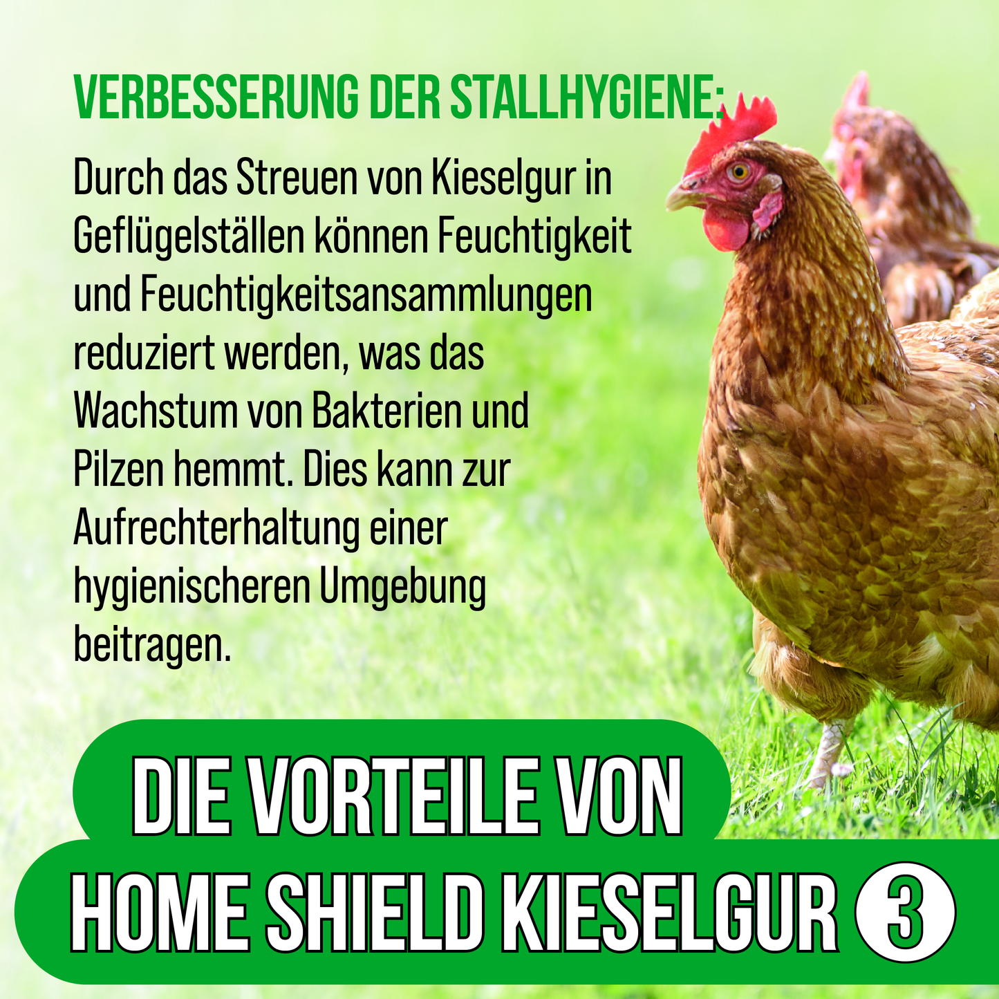 Home Shield® Kieselgur Stalleinstreu 2Kg im Eimer