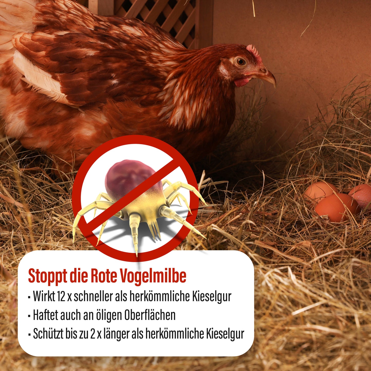 Home Shield® Bundle 98.0 weiß 200g Flasche und 2kg Kieselgur Stalleinstreu im Eimer